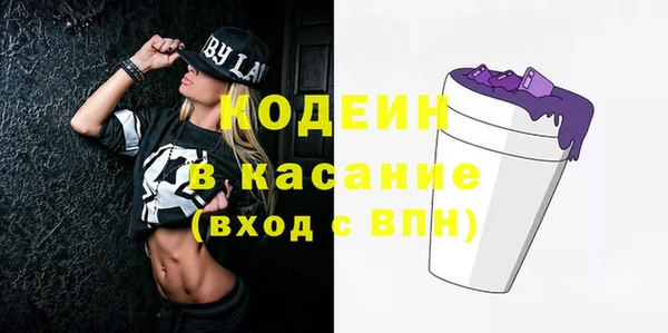 хмурый Белокуриха
