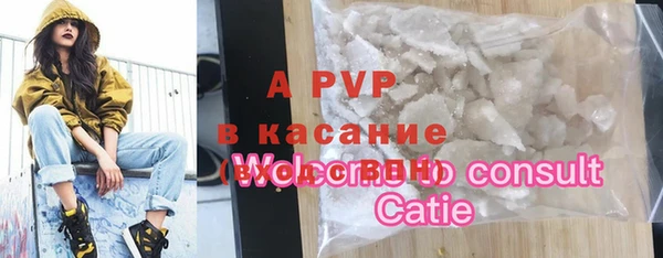 хмурый Белокуриха