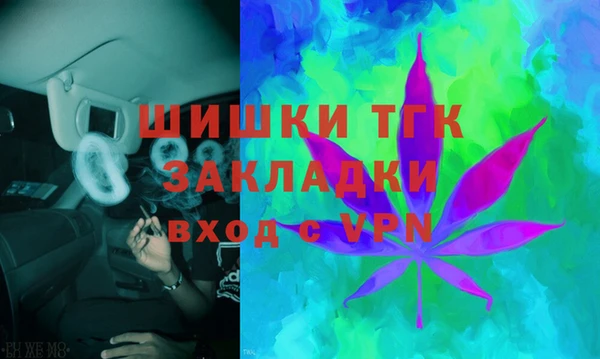 хмурый Белокуриха