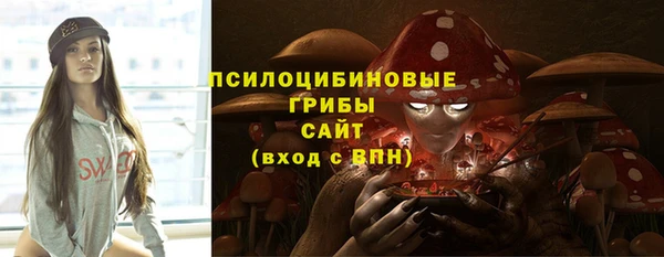 хмурый Белокуриха