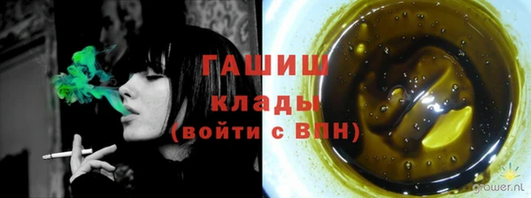 хмурый Белокуриха