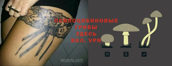 дживик Белоозёрский
