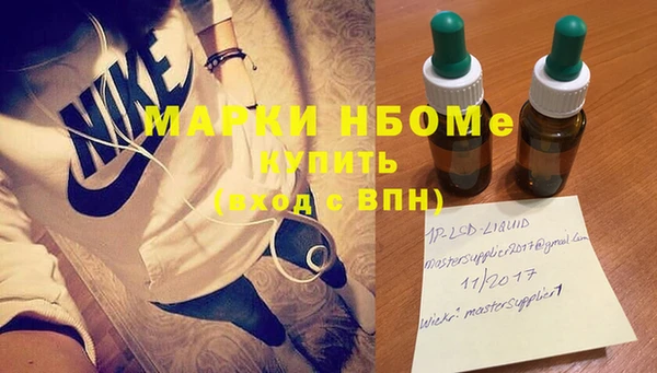 хмурый Белокуриха