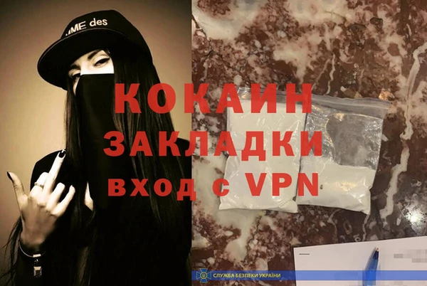 хмурый Белокуриха