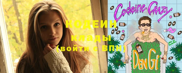 хмурый Белокуриха