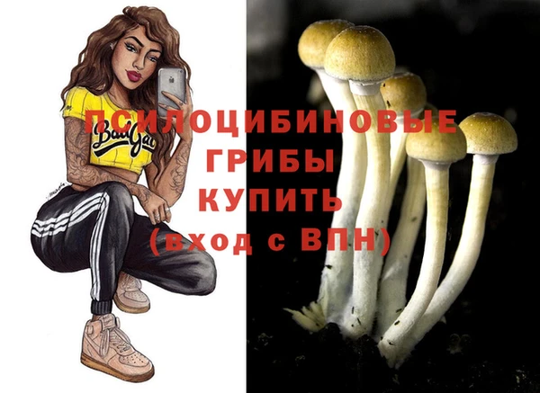 хмурый Белокуриха