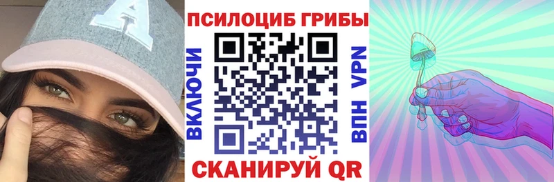 kraken ТОР  Волосово  Галлюциногенные грибы Cubensis 